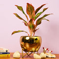 Glossy Gold Metal Planter with Stand