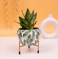 Peacock Print Metal Planter with Stand