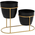 2 Tier Metal Planter Stand with Pots