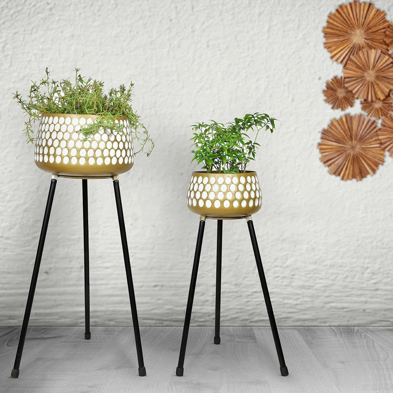 Gold Polka White Tripod Planter Set
